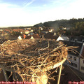 07_05-nest.jpg