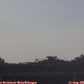 07_15-mast.jpg