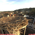 07_15-nest.jpg