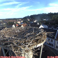 07_20-nest.jpg