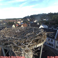 07_25-nest.jpg