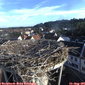 07_30-nest.jpg