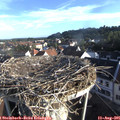 07_35-nest.jpg