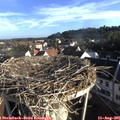 07_40-nest.jpg