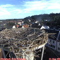 07_45-nest.jpg