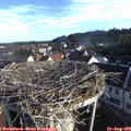 07_50-nest.jpg