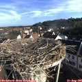 07_55-nest.jpg