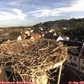 08_00-nest.jpg