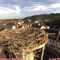 08_05-nest.jpg