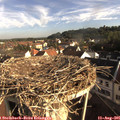 08_10-nest.jpg