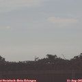 08_15-mast.jpg