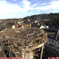 08_15-nest.jpg