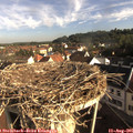 08_20-nest.jpg