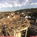 08_25-nest.jpg