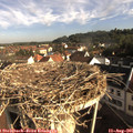 08_30-nest.jpg