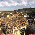 08_35-nest.jpg