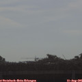 08_40-mast.jpg