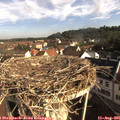 08_40-nest.jpg