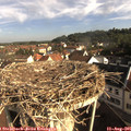 08_45-nest.jpg