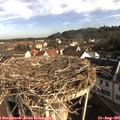 08_50-nest.jpg