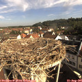 08_55-nest.jpg