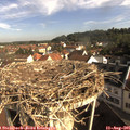 09_00-nest.jpg