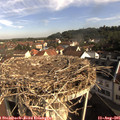 09_05-nest.jpg