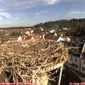 09_10-nest.jpg
