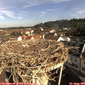 09_15-nest.jpg
