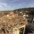 09_20-nest.jpg