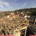 09_25-nest.jpg