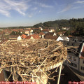09_30-nest.jpg