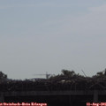 09_35-mast.jpg