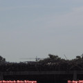 09_40-mast.jpg