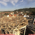 09_40-nest.jpg