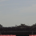 09_45-mast.jpg