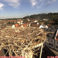09_50-nest.jpg