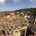 10_00-nest.jpg