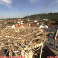 10_05-nest.jpg
