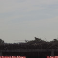 10_10-mast.jpg