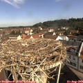 10_10-nest.jpg