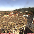 10_20-nest.jpg