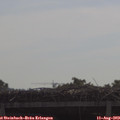 10_30-mast.jpg