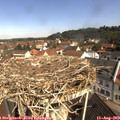 10_35-nest.jpg