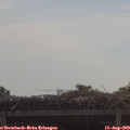 10_40-mast.jpg