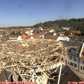 10_40-nest.jpg
