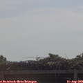 10_45-mast.jpg