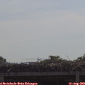 10_50-mast.jpg