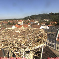 10_50-nest.jpg