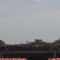 11_00-mast.jpg